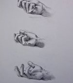Disegni
